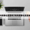 狗需要吃蔬菜吗?狗狗需要吃蔬菜嘛